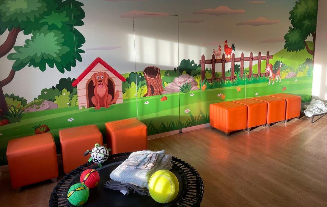 Total Dog Care doggy play room
